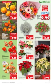 Aktueller Kaufland Prospekt mit Blumen, "Aktuelle Angebote", Seite 19