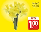 Aktuelles Narzissen Angebot bei EDEKA in Chemnitz ab 1,00 €