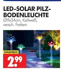 Aktuelles LED-SOLAR PILZ-BODENLEUCHTE Angebot bei Wreesmann in Dresden ab 2,99 €