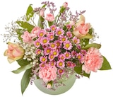 Aktuelles Strauß Rosen Angebot bei Penny in Magdeburg ab 12,99 €