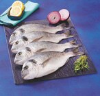 Daurade royale d'aquaculture - Super U à Dunkerque Daurade royale d'aquaculture en promo chez Super U Dunkerque à 9,60 €