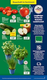 Tomaten im Lidl Prospekt in Hürth Aktueller Lidl Prospekt mit Tomaten, "LIDL LOHNT SICH", Seite 3