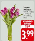 Tulpenstrauß XL Angebote bei E center Fellbach für 3,99 €