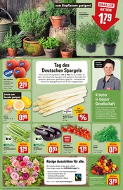 Aktueller REWE Prospekt mit Gartenpflanzen, "Dein Markt", Seite 7