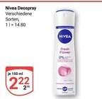 Deospray im Angebot bei GLOBUS in Hoyerswerda Deospray Angebote von Nivea bei GLOBUS Hoyerswerda für 2,22 €