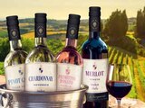 Marktkauf Mölln - Merlot Angebot im Prospekt Merlot bei Marktkauf im Mölln Prospekt für 1,88 €