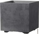 Pflanzgefäß Millennium bei Hagebaumarkt im Brake Prospekt für 19,99 €