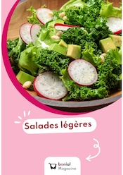 Catalogue Autres Magasins Recettes en cours à Les Vans et alentours, "Salades légères", 1 page, 16/06/2025 - 03/08/2025