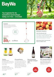 BayWa AG Prospekt für Ehingen mit 4 Seiten BayWa AG Prospekt "Top Angebote für die herbstliche Gartenpflege!" für Ehingen, 4 Seiten, 19.09.2026 - 03.10.2026