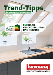 Aktueller Hornung Baumärkte Prospekt für Neulußheim: Trend-Tipps FÜR DIE ENERGETISCHE SANIERUNG mit 11} Seiten, 18.10.2024 - 27.10.2024