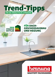 Aktueller Hornung Baumarkt Prospekt in Karlsbad und Umgebung, "Trend-Tipps FÜR DIE ENERGETISCHE SANIERUNG" mit 11 Seiten, 18.10.2024 - 27.10.2024