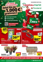 Kettensäge im Hagebaumarkt Prospekt in Wiesbaden Aktueller Hagebaumarkt Prospekt mit Kettensäge, "SO günstig geht das!", Seite 1