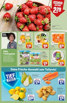 Erdbeeren im REWE Prospekt "Dein Markt" mit 34 Seiten (Augsburg)