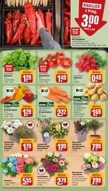 Kartoffeln im REWE Prospekt in Bünde Aktueller REWE Prospekt mit Kartoffeln, "Dein Markt", Seite 11