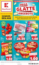 Kaufland Prospekt: "Sonderbeilage", 8 Seiten, 09.01.2025 - 15.01.2025