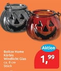Kürbis Windlicht Glas von Boltz Home im aktuellen budni Prospekt