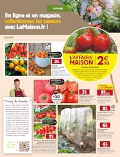 Tomate Angebote im Prospekt "Ne vous fiez pas aux apparences, notre offre est immense." von LaMaison.fr auf Seite 6