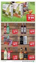 Aktueller Marktkauf Prospekt mit Spirituosen, "GANZ GROSS in kleinsten Preisen!", Seite 17