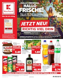 Aktueller Kaufland Supermärkte Prospekt für Dohna 12.06.2025 - 18.06.2025 Kaufland Prospekt für Dohna mit 62 Seiten