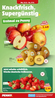 Aktueller Penny Prospekt "Wer günstig will, muss Penny." Aktueller Penny Prospekt