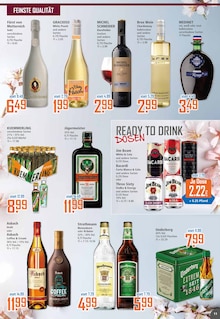 Cola im K+K - Klaas & Kock Prospekt "Wenn Lebensmittel, dann K+K" mit 12 Seiten (Lippstadt)