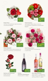 Wein Angebot im aktuellen Pflanzen Kölle Prospekt auf Seite 3