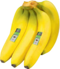 WWF Bananen Angebote von EDEKA Bio bei E center Coburg für 1,99 €