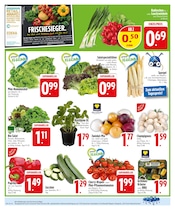 Salat im EDEKA Prospekt in Ingolstadt Aktueller EDEKA Prospekt mit Salat, "Deine PAYBACK Vorteile", Seite 4
