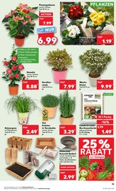 Aktueller Kaufland Prospekt mit Gartenerde, "KNÜLLER", Seite 28