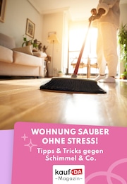kaufDA Magazin Prospekt für Stendal: "Wohnungscleaning", 1 Seite, 05.04.2026 - 22.04.2026
