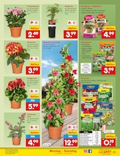 Saatgut im Netto Marken-Discount Prospekt in Nürtingen Aktueller Netto Marken-Discount Prospekt mit Saatgut, "Aktuelle Angebote", Seite 27