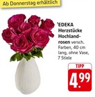 E center - Herzstücke Hochlandrosen Angebot im Prospekt Herzstücke Hochlandrosen bei E center im Prospekt "" für 4,99 €