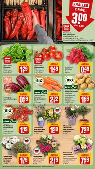 Paprika im aktuellen REWE Prospekt (Wiesbaden) Paprika im REWE Prospekt "Dein Markt" mit 18 Seiten (Wiesbaden)