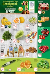 Aktueller GLOBUS Prospekt mit Gemüse, "Aktuelle Angebote", Seite 4