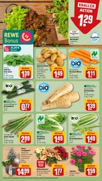 REWE Kochtopf im Prospekt 