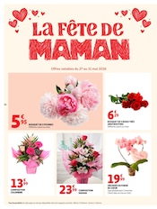 Promos Plantes dans le catalogue "La Fête De MAMAN" de Auchan Hypermarché Plantes en promo dans le catalogue Auchan Hypermarché à la page 34