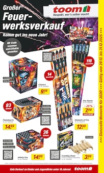 toom Baumarkt Prospekt Alsdorf "Der toom Gutschein-Tag am Black Friday" mit 2 Seiten