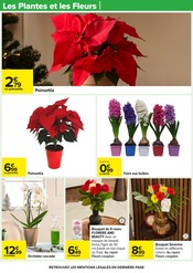 Orchidée Angebote im Prospekt "UN Noël POUR TOUS LES GOÛTS" von Carrefour auf Seite 60