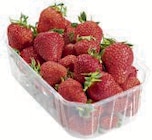 Erdbeeren bei METRO im Wächtersbach Prospekt für 