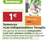 Promo Semences "Les indispensables" à 1,00 € dans le catalogue LaMaison.fr à La Guerche-de-Bretagne