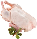 Frische junge bayr. Ente im Angebot bei REWE in Augsburg Frische junge bayr. Ente Angebote bei REWE Augsburg für 6,99 €