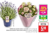 Echter Lavendel im Angebot bei Marktkauf in Aschaffenburg Echter Lavendel Angebote von EDEKA Herzstücke bei Marktkauf Aschaffenburg für 5,39 €