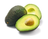 Avocado im aktuellen Netto mit dem Scottie Prospekt