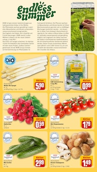 Pilze im REWE Prospekt "Dein Markt" mit 30 Seiten (Nürnberg)
