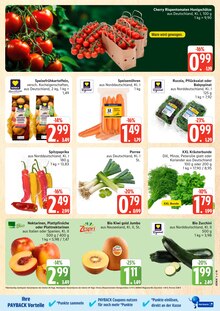 Marktkauf Prospekt der aktuellen Woche, gĂĽltig von 13.07.2026 bis 18.07.2026 Aktueller Marktkauf Prospekt "Top Angebote" mit 36 Seiten
