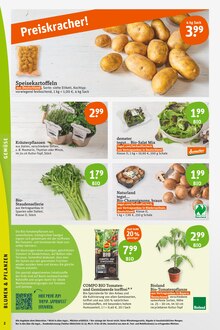 Salat im tegut Prospekt "tegut… gute Lebensmittel" mit 24 Seiten (Nürnberg)