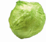 Eisbergsalat im Angebot bei Netto Marken-Discount in Rostock Eisbergsalat Angebote bei Netto Marken-Discount Rostock für 0,88 €