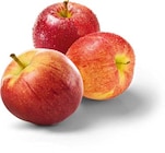 Äpfel rot im Angebot bei Netto Marken-Discount in St. Ingbert Äpfel rot Angebote bei Netto Marken-Discount St. Ingbert für 1,29 €