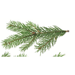 Vom großen Fluss Riesling VDP.Gutswein