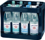 Mineralwasser im Angebot bei Globus-Baumarkt in Saarbrücken Mineralwasser Angebote von Gerolsteiner bei Globus-Baumarkt Saarbrücken für 6,29 €